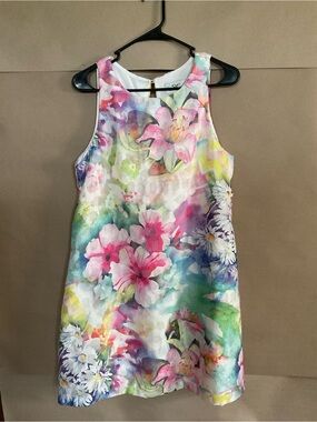 DR Collection Floral Watercolor Shift Dress - Pink, Green, Blue. Size 12P